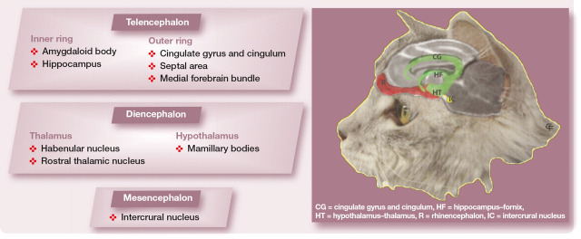 graphic file with name 10.1016_j.jfms.2011.09.007-fig9.jpg