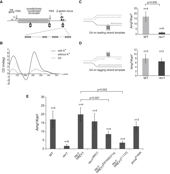 Figure 4