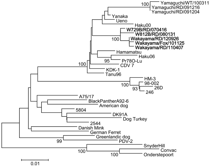 Fig. 4.