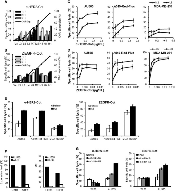 Figure 6