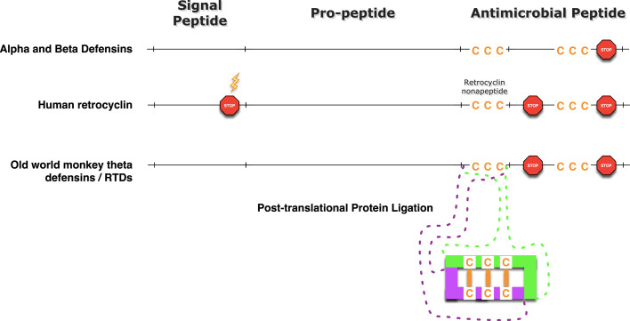 Fig. 2