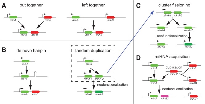 FIGURE 1.