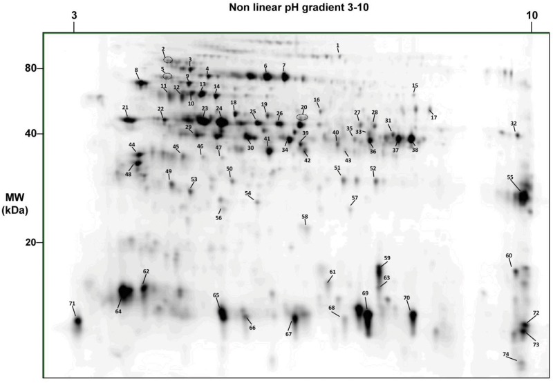 Fig 3