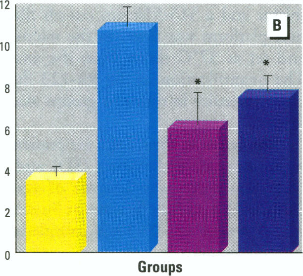 Figure 3. B