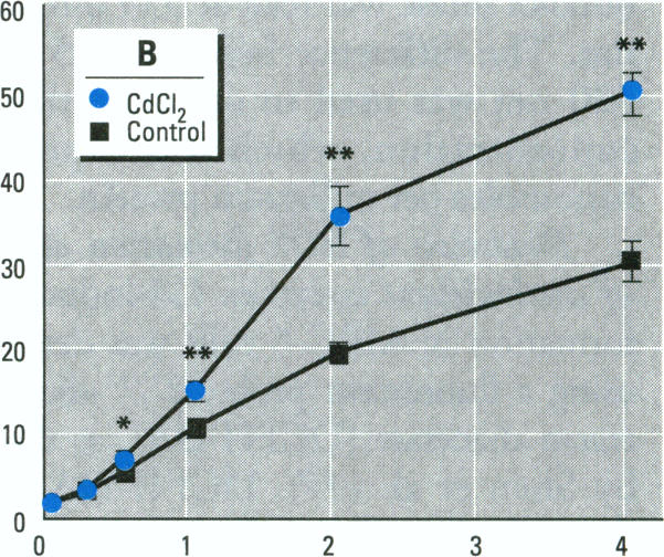 Figure 4. B