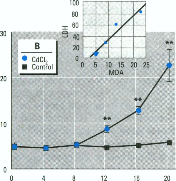 Figure 2. B