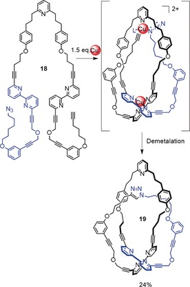 Scheme 6