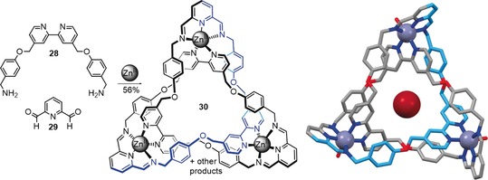 Scheme 10