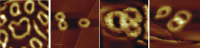 Figure 25