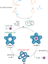 Figure 24