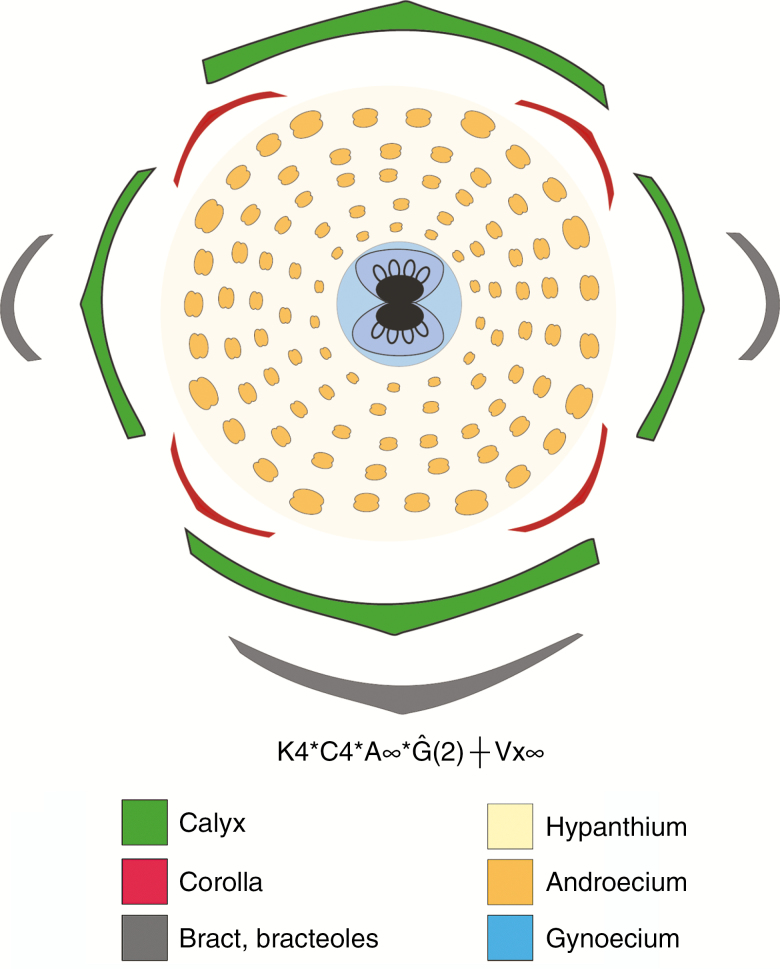 Fig. 2.