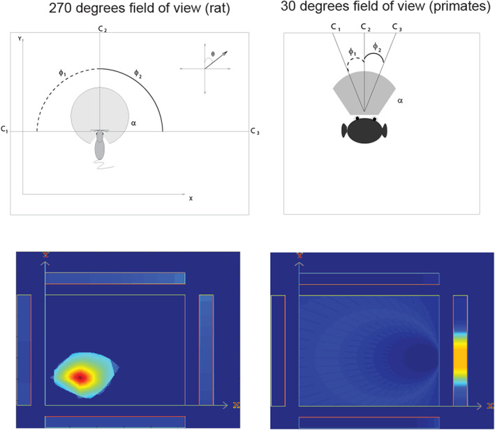 FIGURE 13