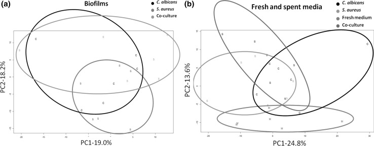 Fig. 5