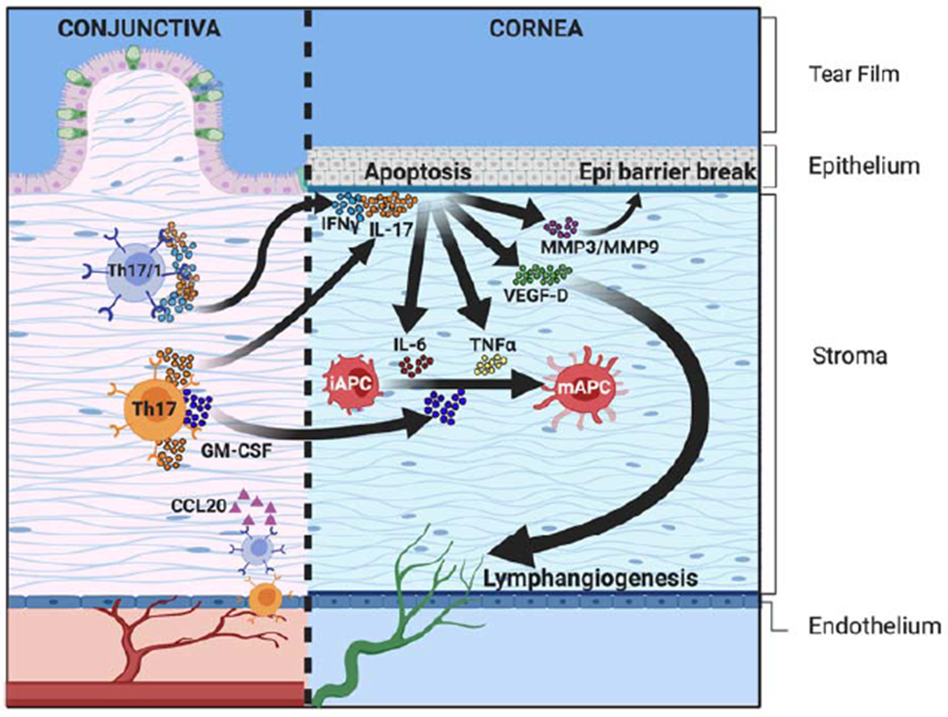 Figure 3: