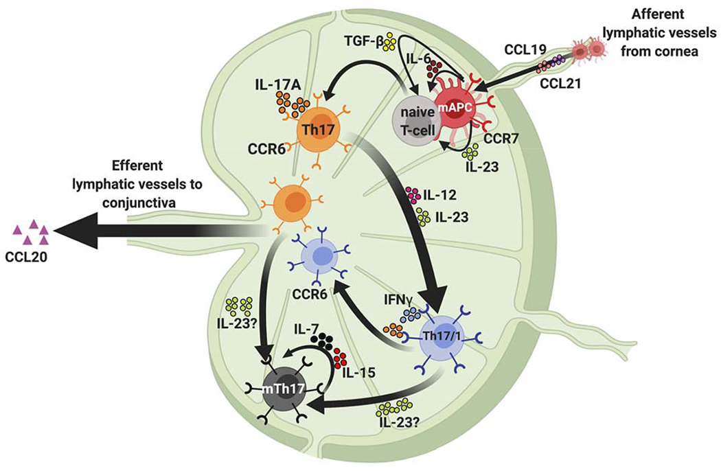 Figure 2: