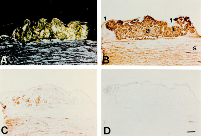 Figure 2  