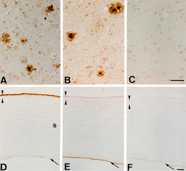 Figure 1  