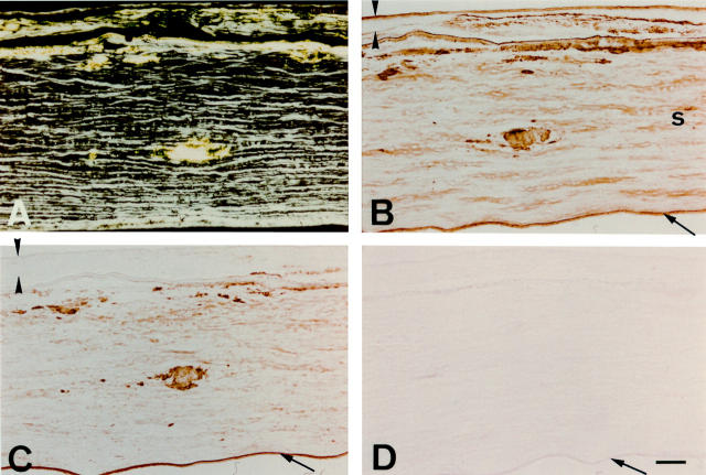 Figure 3  