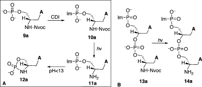 Scheme 3