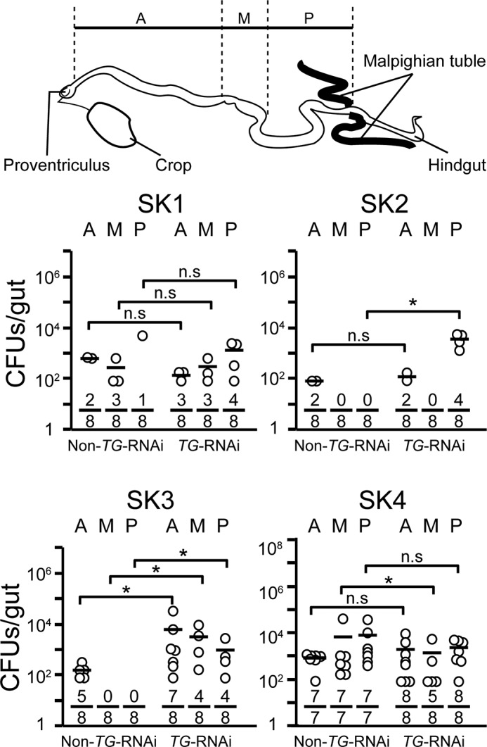 FIGURE 3.