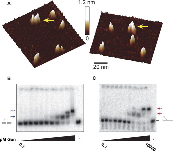 Figure 3.