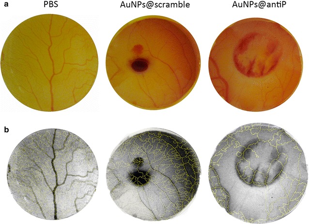 Fig. 2