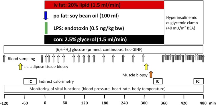 FIG. 1.