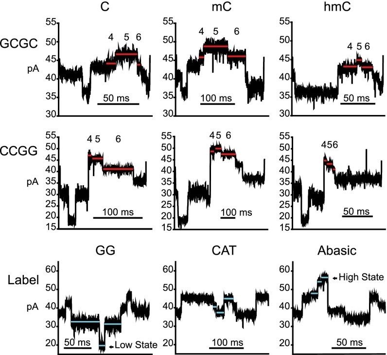 Fig. 3.