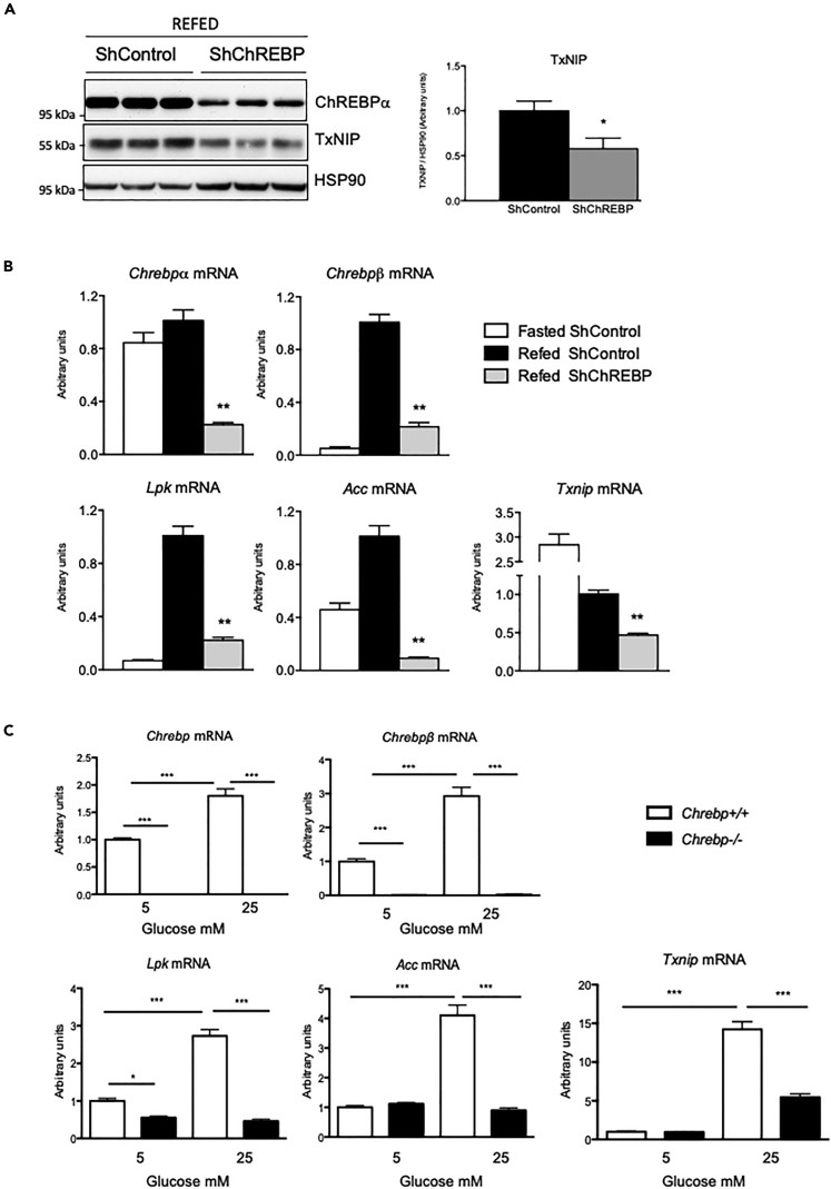 Figure 5