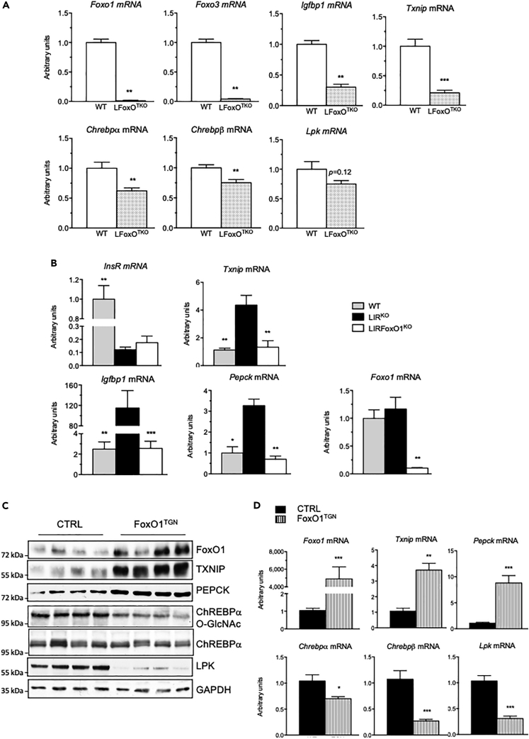 Figure 7