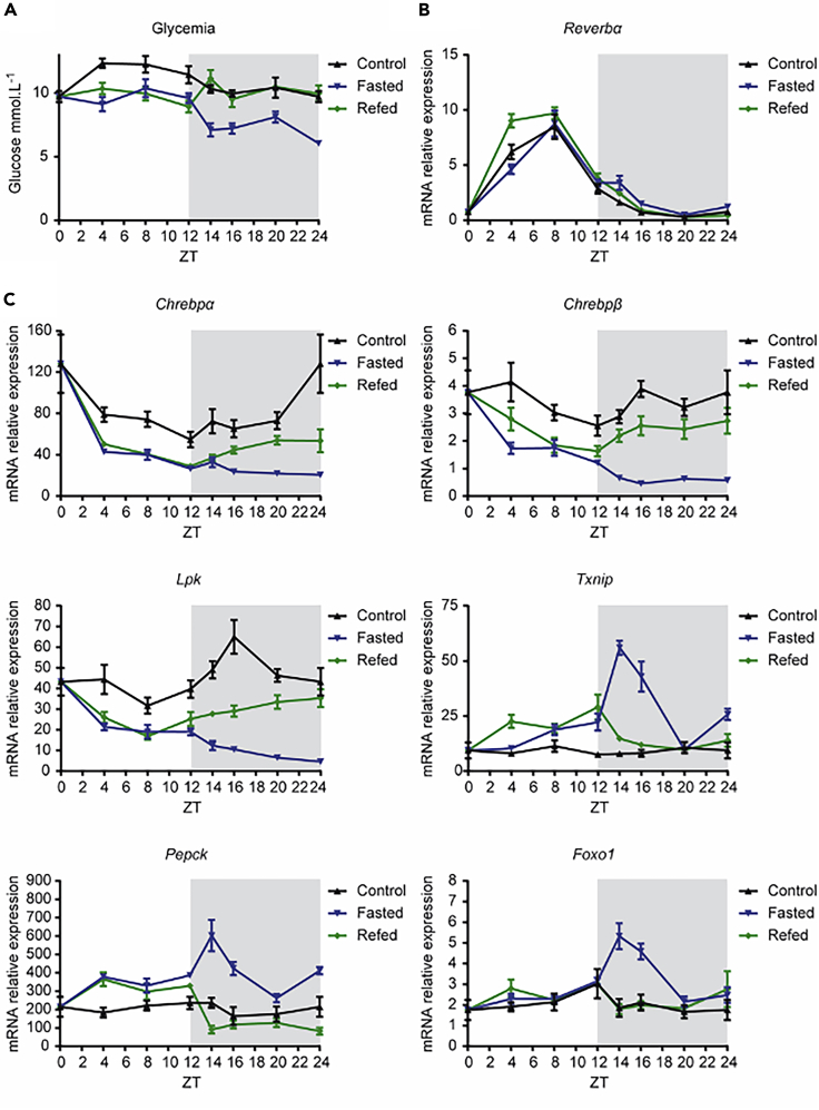 Figure 6