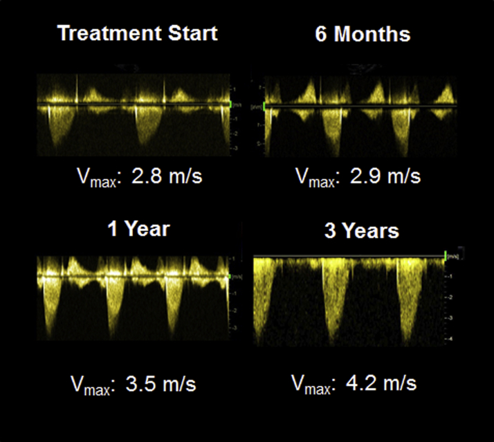 Figure 1