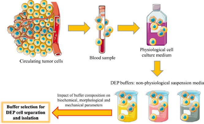 Image, graphical abstract