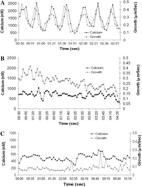 Figure 4.