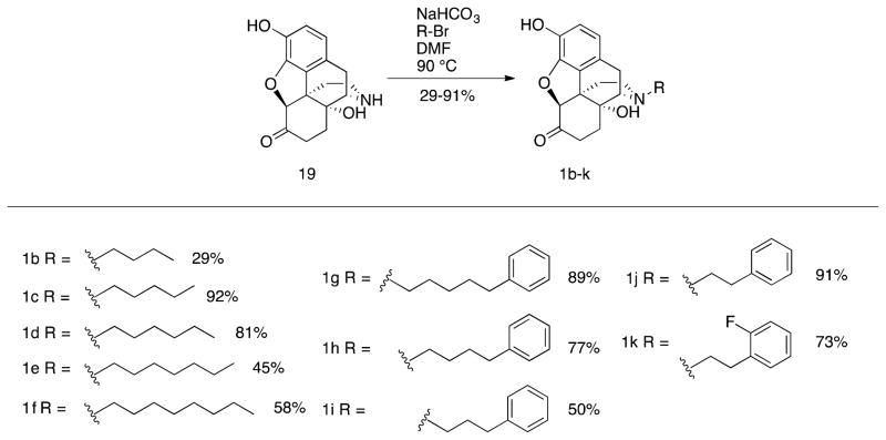 Scheme 5