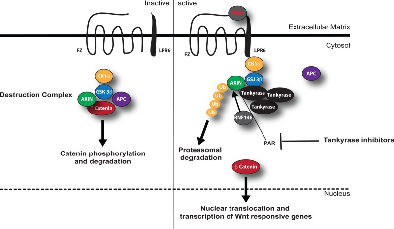 Figure 2.