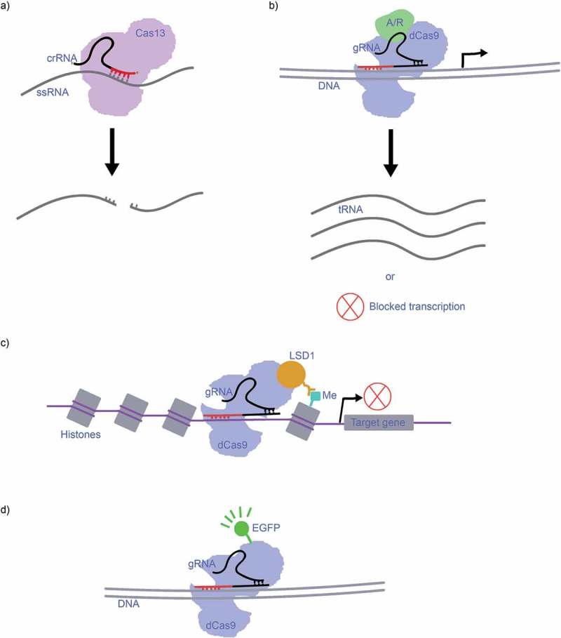 Figure 2.