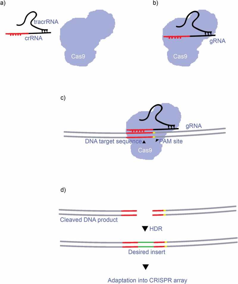 Figure 1.