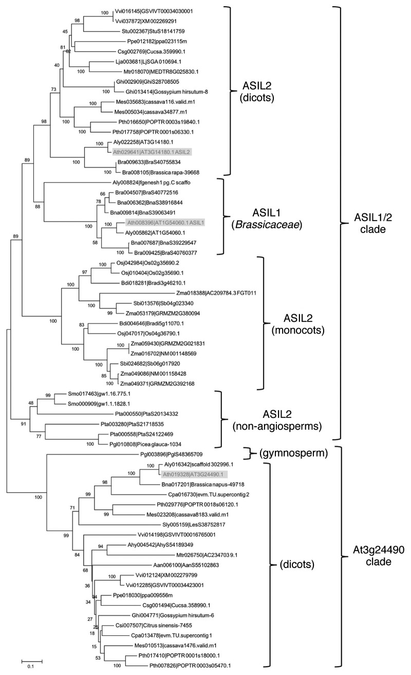 graphic file with name psb-7-205-g2.jpg