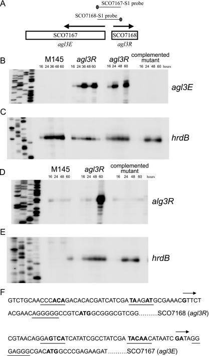 FIG. 3.