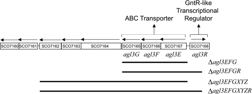 FIG. 1.