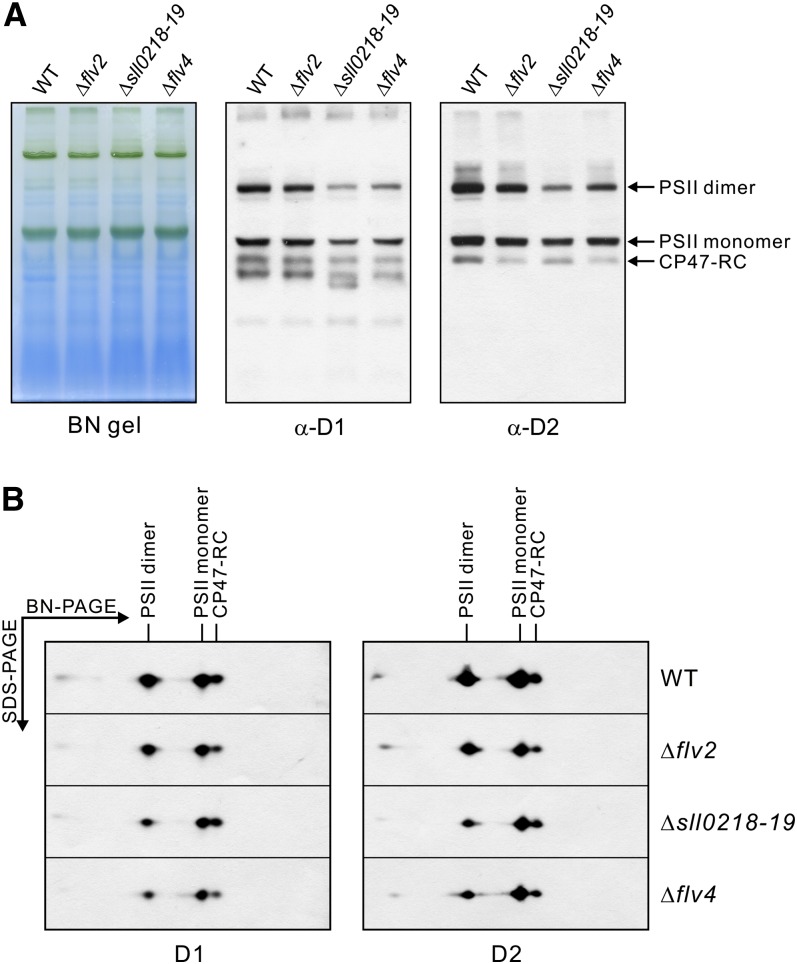 Figure 5.