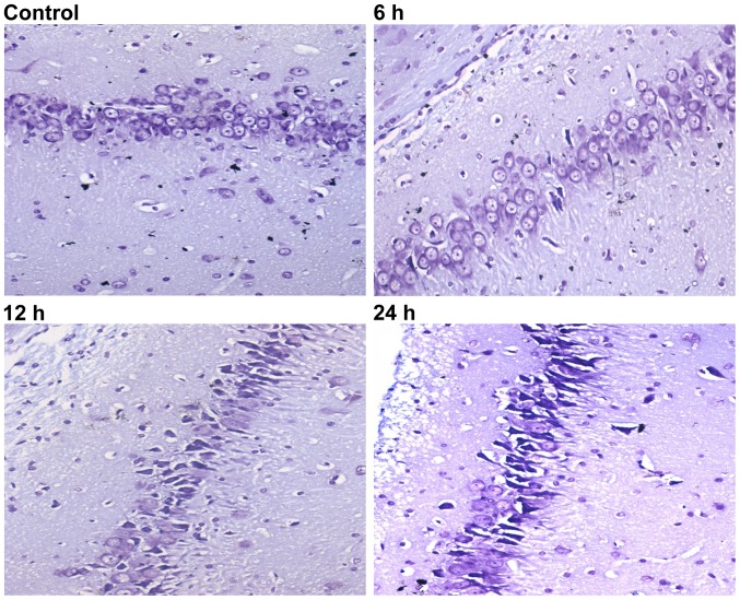 Figure 3.