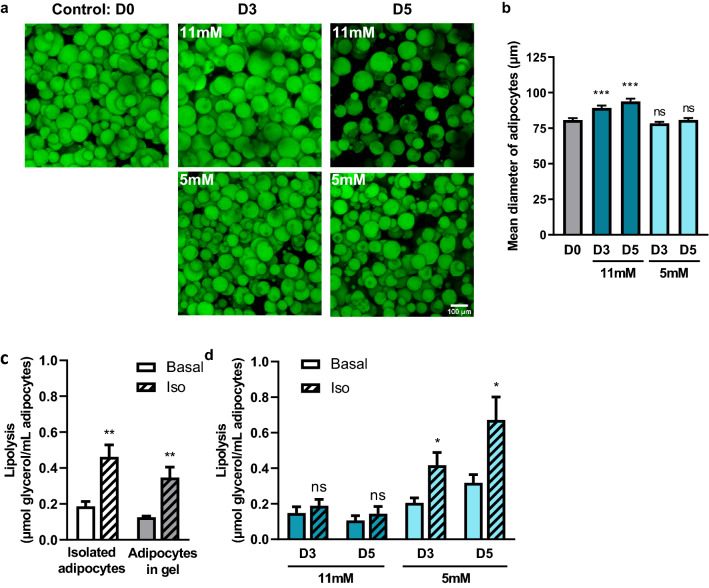 Figure 3: