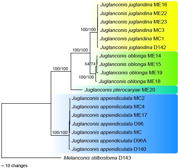 Fig. 3