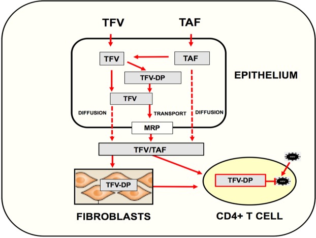 Figure 6