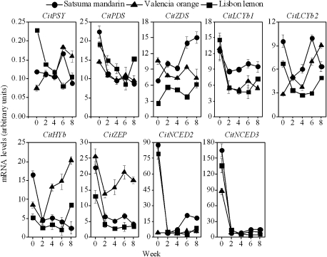 Fig. 4.