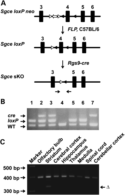 Figure 3.