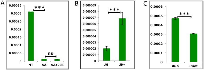 Fig 7