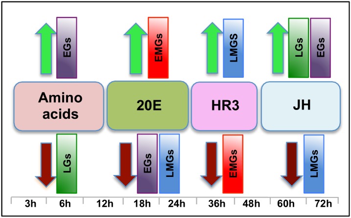 Fig 10